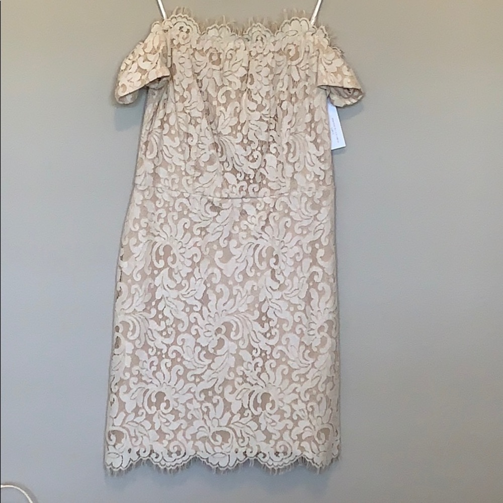 Nude Dress by Vici